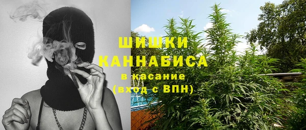 тгк Арсеньев