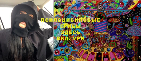 PSILOCYBIN Армянск