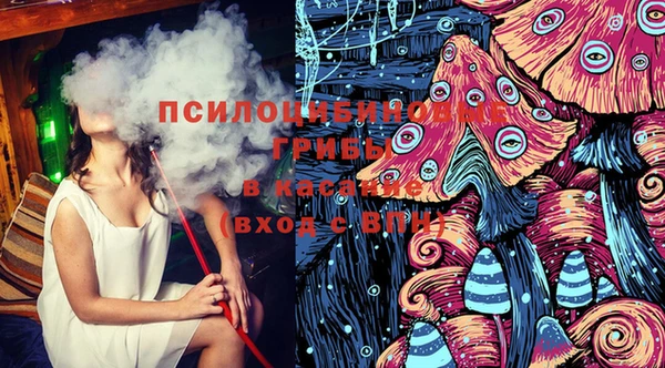 тгк Арсеньев